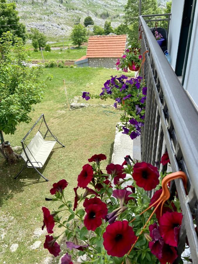 Guest House Markovic Lovcen Cetinje Ngoại thất bức ảnh